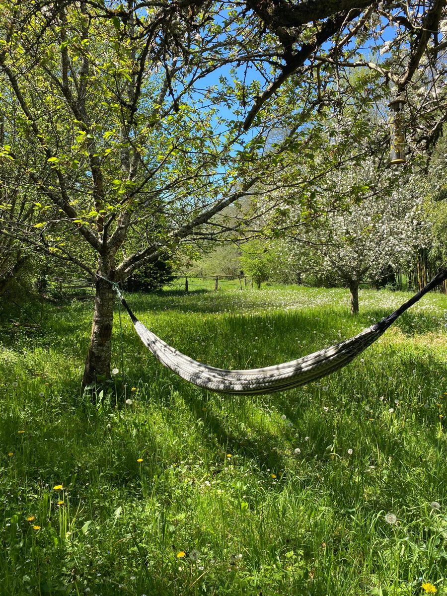 Le verger au début du printemps, Moulin de Canole