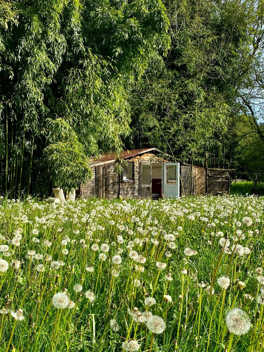 Le petit chalet, Moulin de Canole
